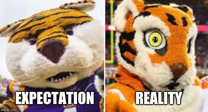 Clemson needs new mascot | EXPECTATION; REALITY | image tagged in lsu,clemson,tigers,lionsandtigersandbearsohmy | made w/ Imgflip meme maker