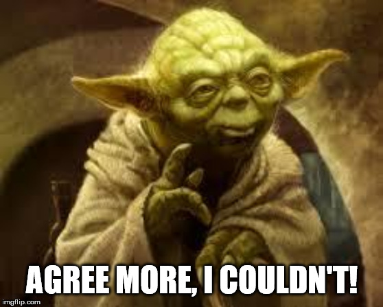 yoda | AGREE MORE, I COULDN'T! | image tagged in yoda | made w/ Imgflip meme maker