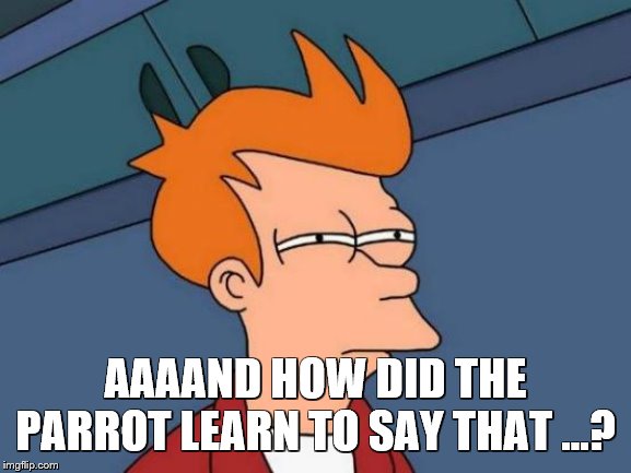 Futurama Fry Meme | AAAAND HOW DID THE PARROT LEARN TO SAY THAT …? | image tagged in memes,futurama fry | made w/ Imgflip meme maker