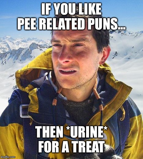 Bear Grylls | IF YOU LIKE PEE RELATED PUNS... THEN *URINE* FOR A TREAT | image tagged in memes,bear grylls | made w/ Imgflip meme maker