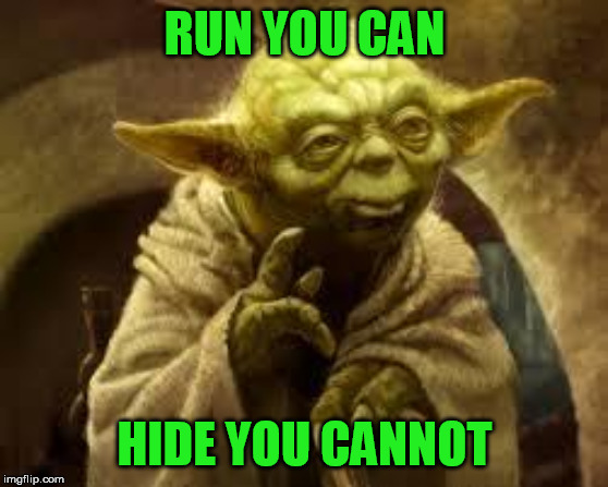 yoda | RUN YOU CAN HIDE YOU CANNOT | image tagged in yoda | made w/ Imgflip meme maker