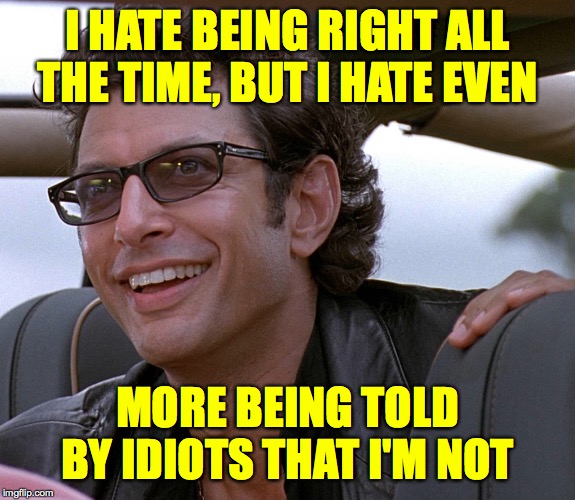 Jeff goldblum | I HATE BEING RIGHT ALL THE TIME, BUT I HATE EVEN MORE BEING TOLD BY IDIOTS THAT I'M NOT | image tagged in jeff goldblum | made w/ Imgflip meme maker