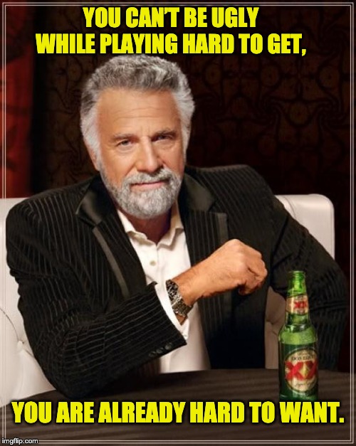 The Most Interesting Man In The World Meme | YOU CAN’T BE UGLY WHILE PLAYING HARD TO GET, YOU ARE ALREADY HARD TO WANT. | image tagged in memes,the most interesting man in the world | made w/ Imgflip meme maker