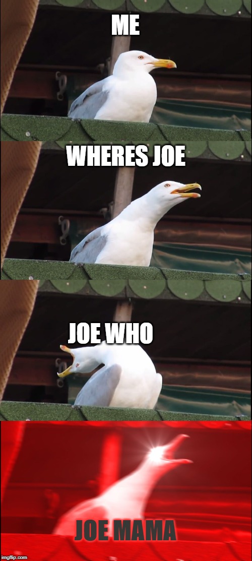 Inhaling Seagull | ME; WHERES JOE; JOE WHO; JOE MAMA | image tagged in memes,inhaling seagull | made w/ Imgflip meme maker