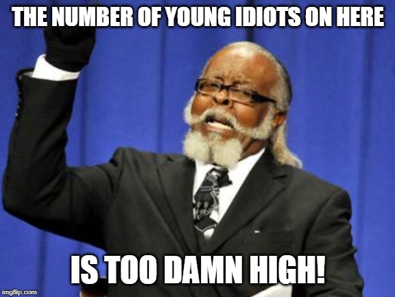 Too Damn High | THE NUMBER OF YOUNG IDIOTS ON HERE; IS TOO DAMN HIGH! | image tagged in memes,too damn high | made w/ Imgflip meme maker
