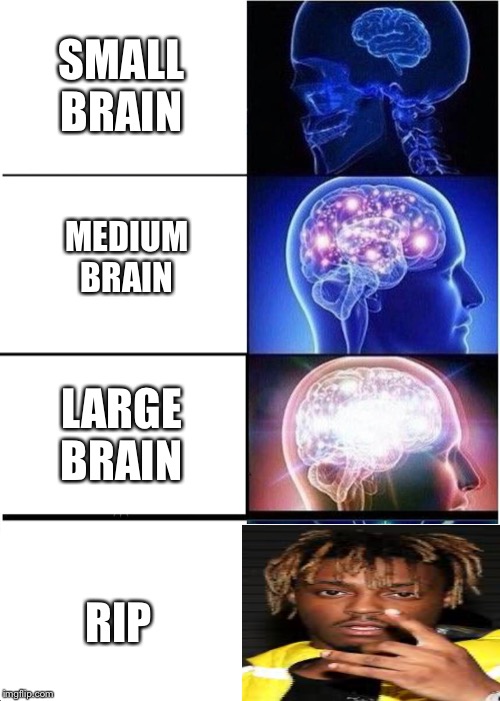 Expanding Brain | SMALL BRAIN; MEDIUM BRAIN; LARGE BRAIN; RIP | image tagged in memes,expanding brain | made w/ Imgflip meme maker