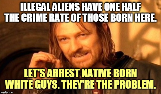 Deport MAGA! | ILLEGAL ALIENS HAVE ONE HALF THE CRIME RATE OF THOSE BORN HERE. LET'S ARREST NATIVE BORN WHITE GUYS. THEY'RE THE PROBLEM. | image tagged in memes,one does not simply,illegal immigration,crime,criminals,maga | made w/ Imgflip meme maker