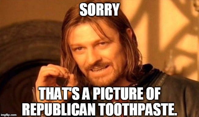 One Does Not Simply Meme | SORRY THAT'S A PICTURE OF REPUBLICAN TOOTHPASTE. | image tagged in memes,one does not simply | made w/ Imgflip meme maker