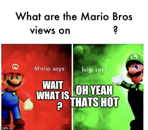 Mario Bros. Views | OH YEAH THATS HOT; WAIT WHAT IS         ? | image tagged in mario bros views | made w/ Imgflip meme maker