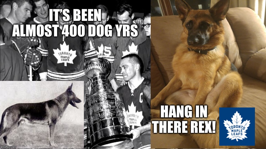 IT’S BEEN ALMOST 400 DOG YRS; HANG IN THERE REX! | image tagged in toronto maple leafs | made w/ Imgflip meme maker