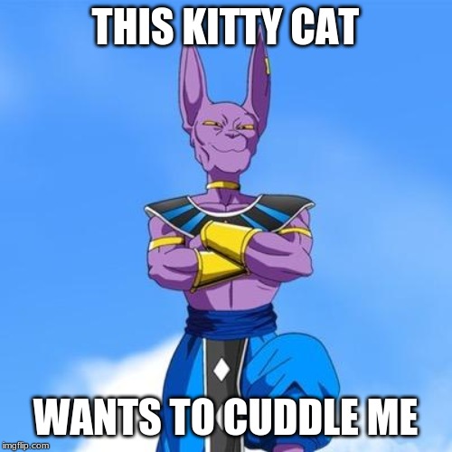 Beerus | THIS KITTY CAT WANTS TO CUDDLE ME | image tagged in beerus | made w/ Imgflip meme maker