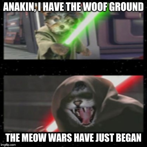 Dog Vs Cat Lightsabers | ANAKIN, I HAVE THE WOOF GROUND; THE MEOW WARS HAVE JUST BEGAN | image tagged in dog vs cat lightsabers | made w/ Imgflip meme maker