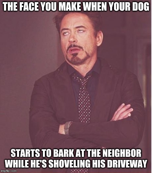 Face You Make Robert Downey Jr Meme | THE FACE YOU MAKE WHEN YOUR DOG; STARTS TO BARK AT THE NEIGHBOR WHILE HE'S SHOVELING HIS DRIVEWAY | image tagged in memes,face you make robert downey jr | made w/ Imgflip meme maker