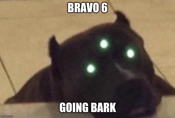 New Modern Warfare leaked | BRAVO 6; GOING BARK | image tagged in dog,call of duty,cursed image,cursed,memes,pupper | made w/ Imgflip meme maker