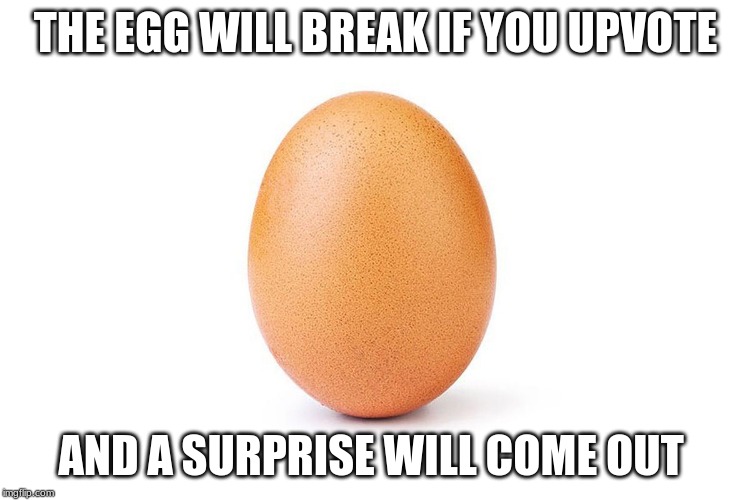 THE EGG WILL BREAK IF YOU UPVOTE; AND A SURPRISE WILL COME OUT | image tagged in funny,please | made w/ Imgflip meme maker