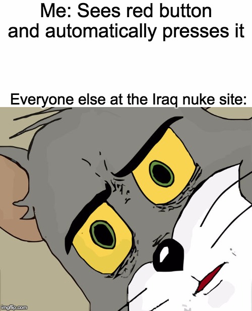 Red Button |  Me: Sees red button and automatically presses it; Everyone else at the Iraq nuke site: | image tagged in blank white template,memes,unsettled tom,big red button | made w/ Imgflip meme maker