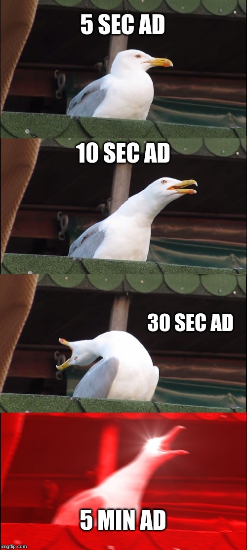 Inhaling Seagull | 5 SEC AD; 10 SEC AD; 30 SEC AD; 5 MIN AD | image tagged in memes,inhaling seagull | made w/ Imgflip meme maker