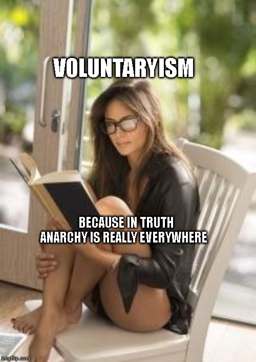 Smart is Sexy | VOLUNTARYISM; BECAUSE IN TRUTH ANARCHY IS REALLY EVERYWHERE | image tagged in smart is sexy | made w/ Imgflip meme maker