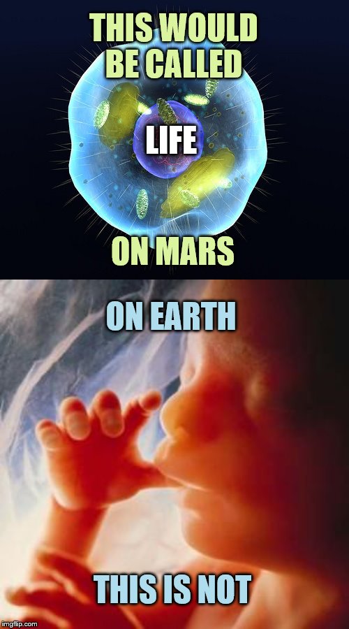 Abortion is Genocide | THIS WOULD BE CALLED; LIFE; ON MARS; ON EARTH; THIS IS NOT | image tagged in fetus,cells animation,memes,politics | made w/ Imgflip meme maker