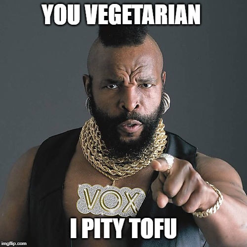 Mr T Pity The Fool |  YOU VEGETARIAN; I PITY TOFU | image tagged in memes,mr t pity the fool | made w/ Imgflip meme maker