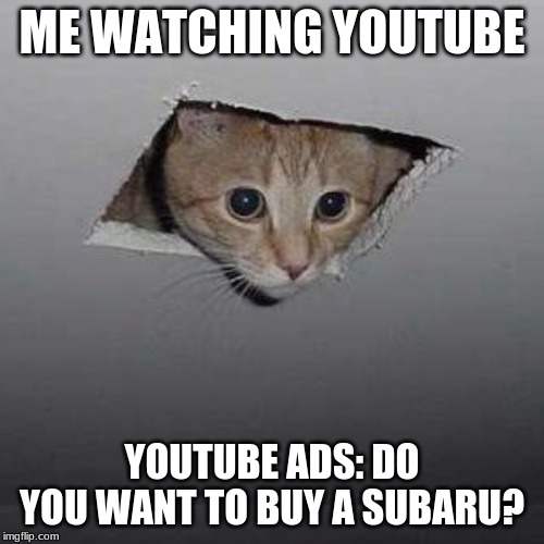 Ceiling Cat | ME WATCHING YOUTUBE; YOUTUBE ADS: DO YOU WANT TO BUY A SUBARU? | image tagged in memes,ceiling cat | made w/ Imgflip meme maker