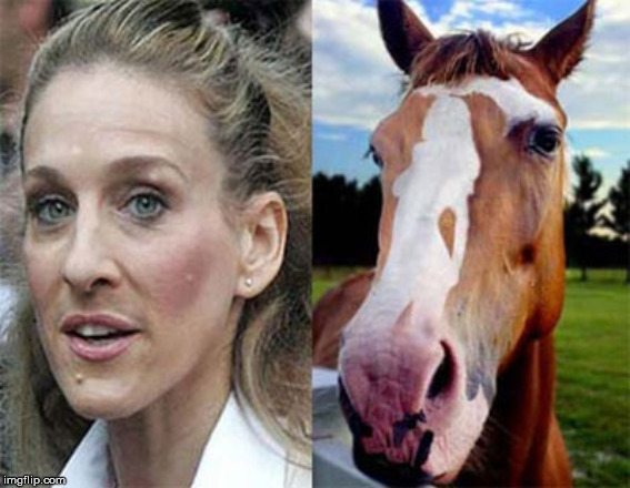 neigh Sarah Jessica Parker | image tagged in neigh sarah jessica parker | made w/ Imgflip meme maker