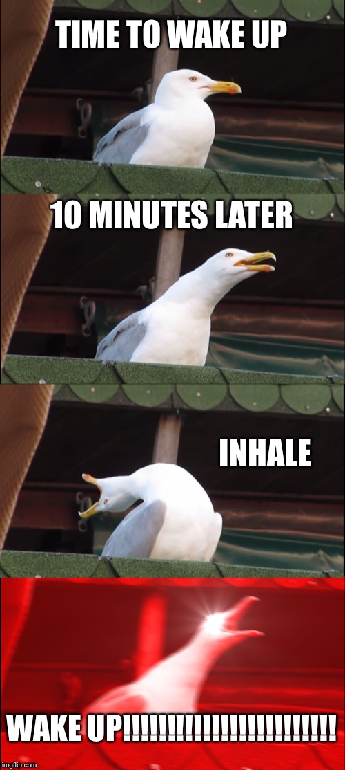 Inhaling Seagull Meme | TIME TO WAKE UP; 10 MINUTES LATER; INHALE; WAKE UP!!!!!!!!!!!!!!!!!!!!!!!! | image tagged in memes,inhaling seagull | made w/ Imgflip meme maker