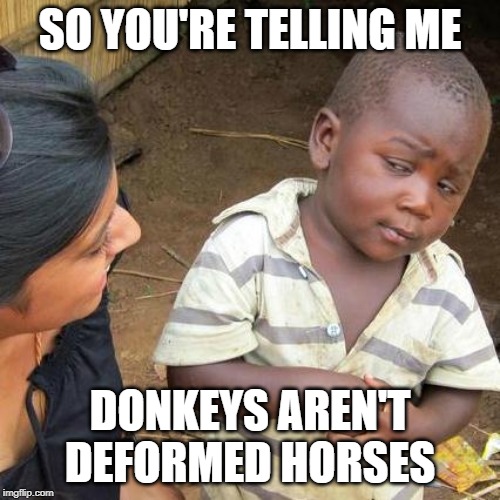 Third World Skeptical Kid | SO YOU'RE TELLING ME; DONKEYS AREN'T DEFORMED HORSES | image tagged in memes,third world skeptical kid | made w/ Imgflip meme maker