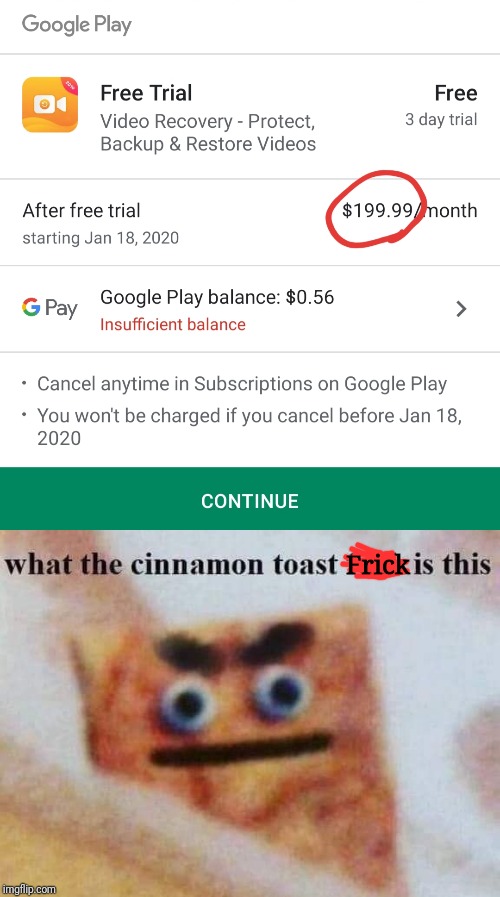 What the cinnamon toast frick is this? | Frick | image tagged in what the cinnamon toast f is this,you had one job,expensive,google play | made w/ Imgflip meme maker