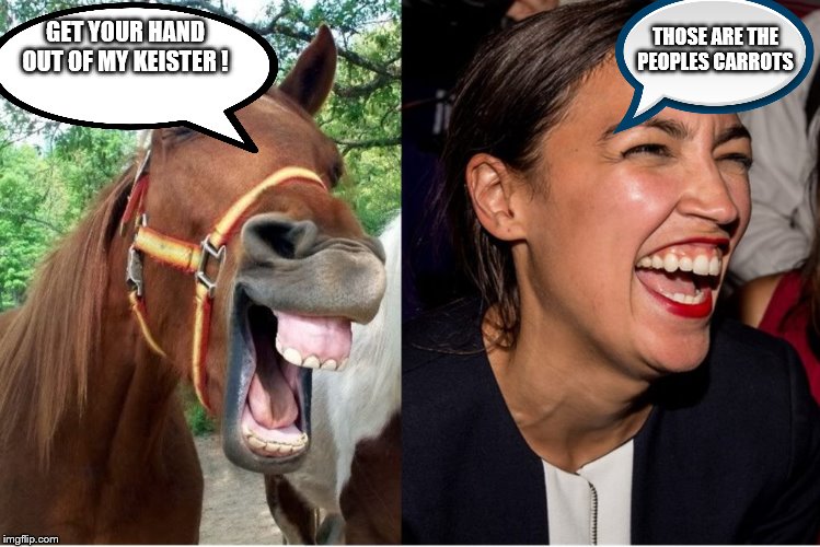 yep | THOSE ARE THE PEOPLES CARROTS; GET YOUR HAND OUT OF MY KEISTER ! | image tagged in aoc horse face alexandria ocasio-cortez,socialism,aoc,democrats,bernie sanders | made w/ Imgflip meme maker