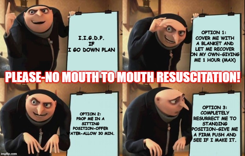 gru chart | I.I.G.D.P. IF I GO DOWN PLAN; OPTION 1:  COVER ME WITH A BLANKET AND LET ME RECOVER ON MY OWN-GIVING ME 1 HOUR (MAX); PLEASE-NO MOUTH TO MOUTH RESUSCITATION! OPTION 2: PROP ME IN A SITTING POSITION-OFFER WATER-ALLOW 30 MIN. OPTION 3: COMPLETELY RESURRECT ME TO STANDING POSITION-GIVE ME A FIRM PUSH AND SEE IF I MAKE IT. | image tagged in gru chart | made w/ Imgflip meme maker