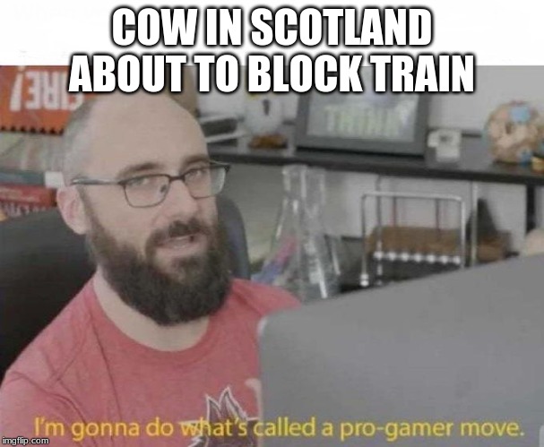 Pro Gamer move | COW IN SCOTLAND ABOUT TO BLOCK TRAIN | image tagged in pro gamer move | made w/ Imgflip meme maker