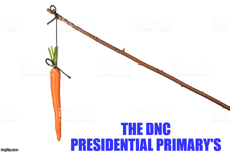 DNC primary | THE DNC PRESIDENTIAL PRIMARY'S | image tagged in dnc | made w/ Imgflip meme maker