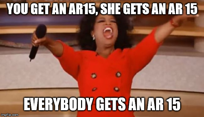 AR | YOU GET AN AR15, SHE GETS AN AR 15; EVERYBODY GETS AN AR 15 | image tagged in ar | made w/ Imgflip meme maker