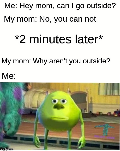 Mike Wazoski | Me: Hey mom, can I go outside? My mom: No, you can not; *2 minutes later*; My mom: Why aren't you outside? Me: | image tagged in mike wazoski | made w/ Imgflip meme maker