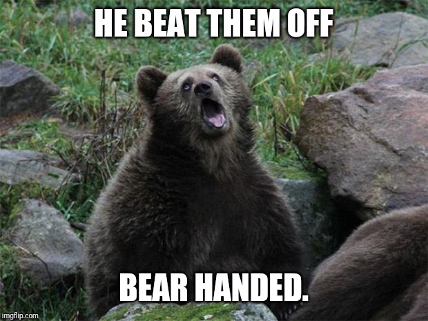 Sarcastic Bear | HE BEAT THEM OFF BEAR HANDED. | image tagged in sarcastic bear | made w/ Imgflip meme maker