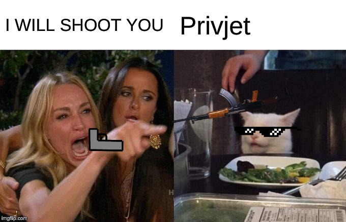 Woman Yelling At Cat | I WILL SHOOT YOU; Privjet | image tagged in memes,woman yelling at cat | made w/ Imgflip meme maker