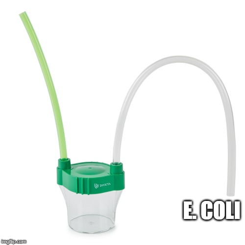spanish | E. COLI | image tagged in spanish | made w/ Imgflip meme maker