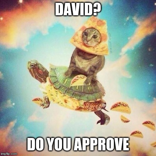 Space Pizza Cat Turtle Tacos | DAVID? DO YOU APPROVE | image tagged in space pizza cat turtle tacos | made w/ Imgflip meme maker