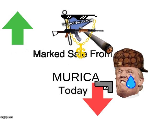 Marked Safe From Meme | ThE SupREmE LeADeR; MURICA | image tagged in memes,marked safe from | made w/ Imgflip meme maker