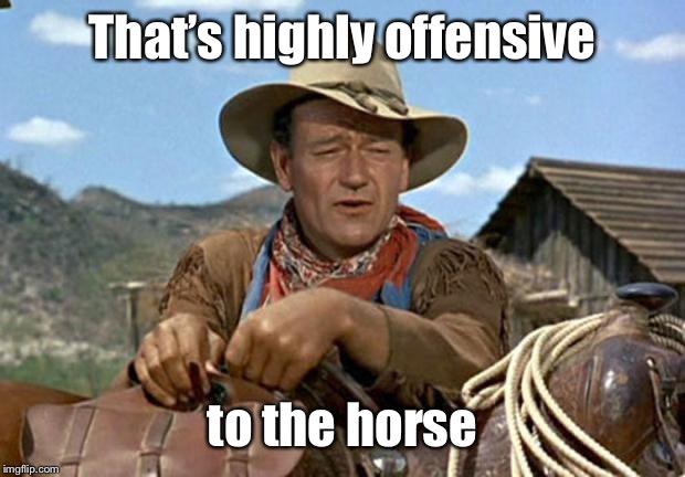 John wayne | That’s highly offensive to the horse | image tagged in john wayne | made w/ Imgflip meme maker