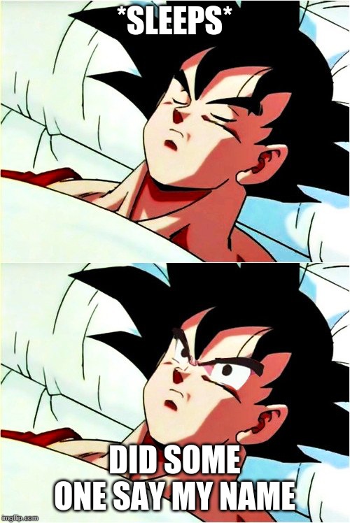 goku sleeping wake up | *SLEEPS* DID SOME ONE SAY MY NAME | image tagged in goku sleeping wake up | made w/ Imgflip meme maker