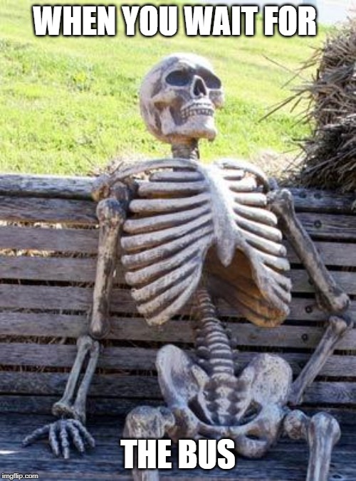 Waiting Skeleton | WHEN YOU WAIT FOR; THE BUS | image tagged in memes,waiting skeleton | made w/ Imgflip meme maker