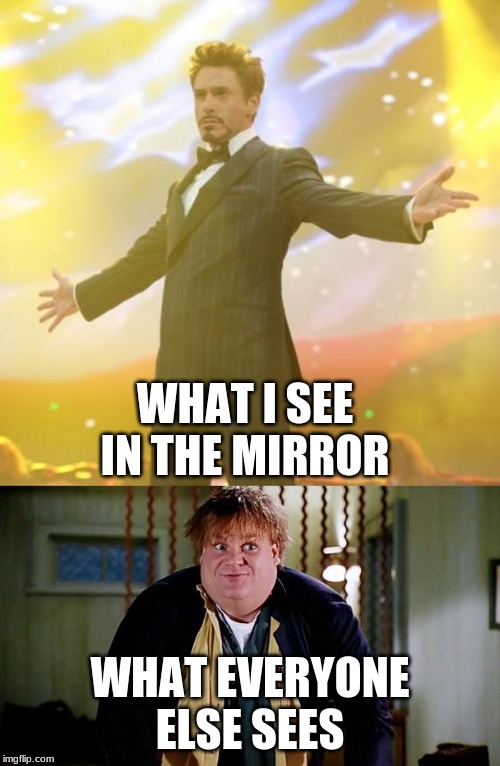 WHAT I SEE IN THE MIRROR; WHAT EVERYONE ELSE SEES | image tagged in robert downey jr iron man | made w/ Imgflip meme maker
