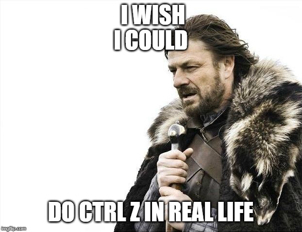 Brace Yourselves X is Coming | I WISH I COULD; DO CTRL Z IN REAL LIFE | image tagged in memes,brace yourselves x is coming | made w/ Imgflip meme maker