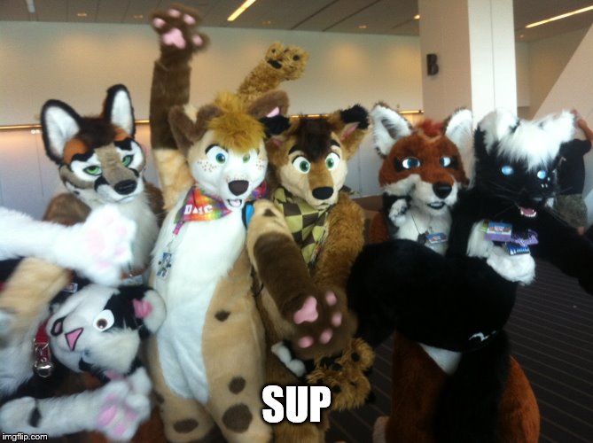 Furries | SUP | image tagged in furries | made w/ Imgflip meme maker