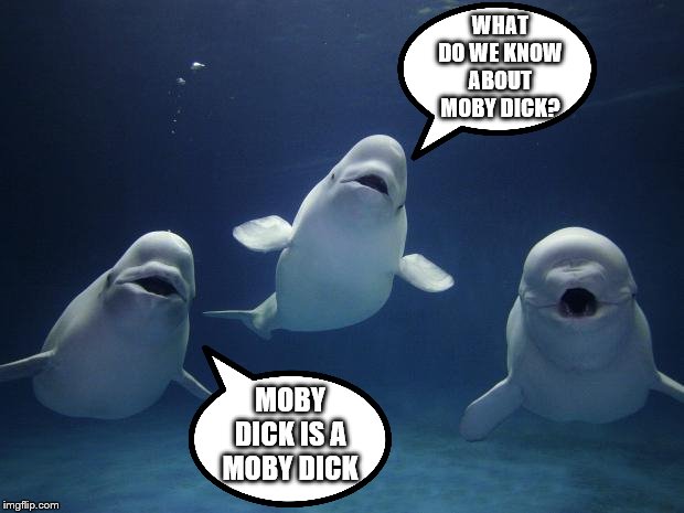 Whale whale whale | WHAT DO WE KNOW ABOUT MOBY DICK? MOBY DICK IS A MOBY DICK | image tagged in whale whale whale | made w/ Imgflip meme maker