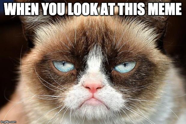 Grumpy Cat Not Amused Meme | WHEN YOU LOOK AT THIS MEME | image tagged in memes,grumpy cat not amused,grumpy cat | made w/ Imgflip meme maker