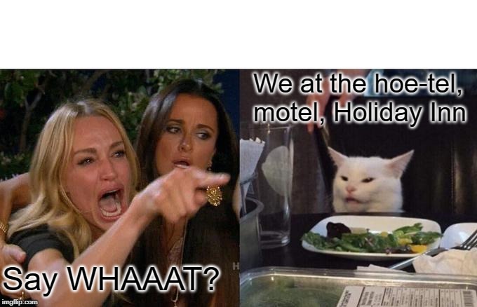 Woman Yelling At Cat Meme | We at the hoe-tel, motel, Holiday Inn; Say WHAAAT? | image tagged in memes,woman yelling at cat | made w/ Imgflip meme maker