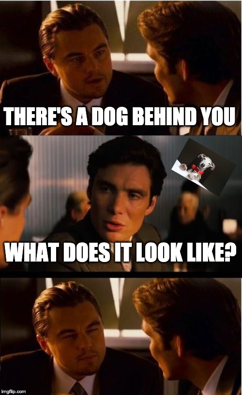 Inception | THERE'S A DOG BEHIND YOU; WHAT DOES IT LOOK LIKE? | image tagged in memes,inception | made w/ Imgflip meme maker